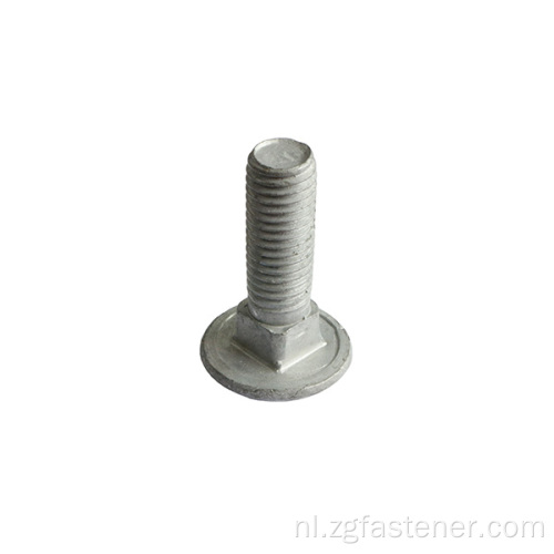 Hot Dompleed Gegalvanised Carriage Bolts M3